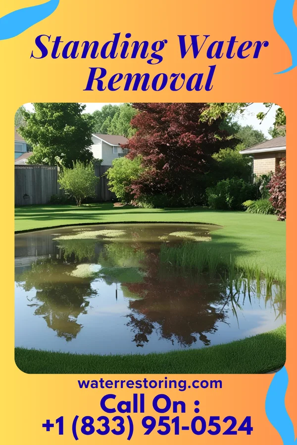 Standing Water Removal in Bayside Gardens, OR